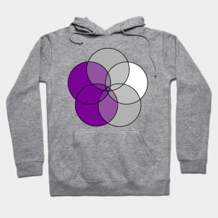 Grey-Asexual Flag Hoodie